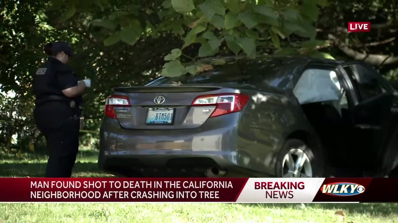 LMPD: Man dies after being shot multiple times, crashing car into tree ...