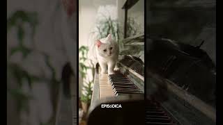 Cuánto Tiempo Tarda Un Gato En Olvidar A Su Dueño? El Veterinario Tiene La Respuesta