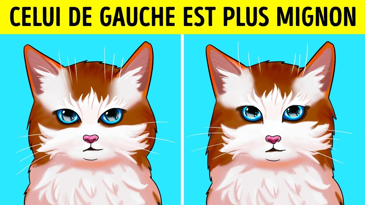 Pourquoi Est Ce Que Les Chats Se Mettent Sur Le Dos Quand Ils Te Voient Youtube Pourquoi Est Ce Que Les Chats Se Mettent Sur Le Dos Quand Ils Te Voient Youtube