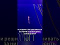 Мужчина спас беременного морского конька от смерти.Удивительная история #shorts