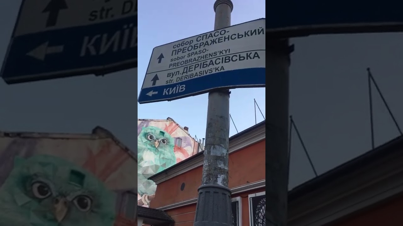 Owl 🦉 super! mural in Odessa 👀 Мурал «Сова»