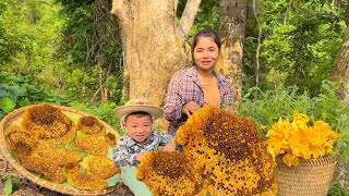 Life of a 17-Year-Old Single Mother - Exploiting giant wild honey and harvesting squash - ly tu ca.
