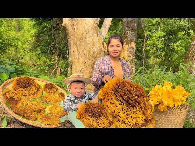 Life of a 17-Year-Old Single Mother - Harvesting wild honey and picking squash to sell - ly tu ca class=