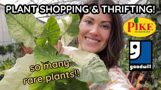 RARE Variegated Alocasia At Pike's Nursery?! Pot Thrifting At Goodwill! Plant Shopping & Plant Haul