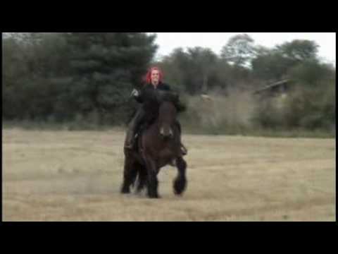 war horse galloping charging heavy Draft War horse