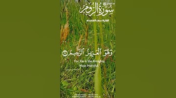 ما تيسر من سوره الروم