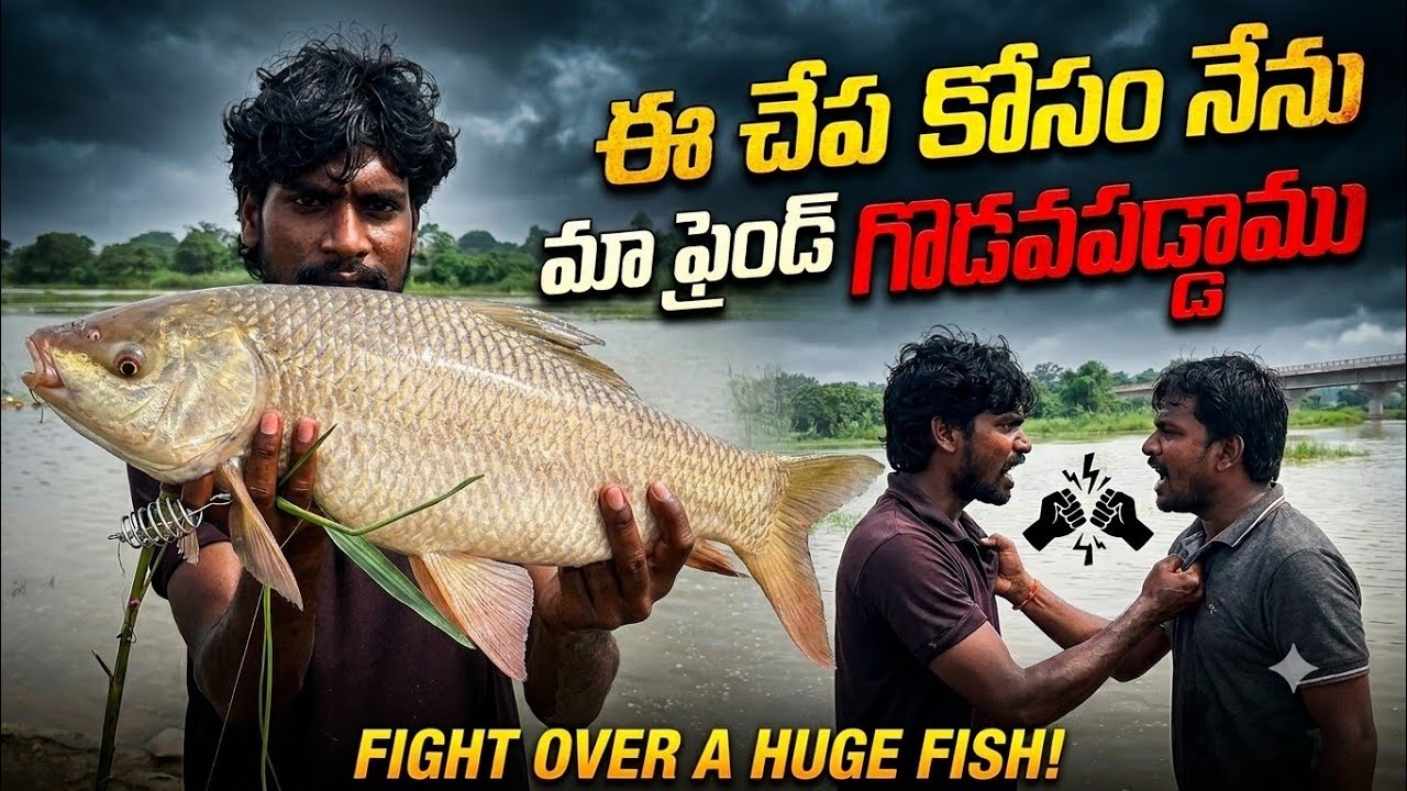 Rohu fishing | ఒక సంవత్సరం తరువాత దొరికిన చేప కోసం గొడవ పడ్డాము | telugu fishing