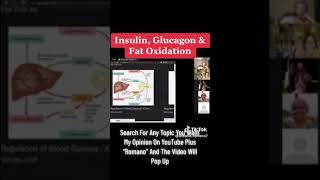 Insulin, Glucagon & Fat Oxidation