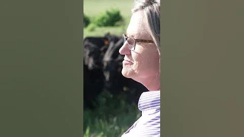 What is sustainability?