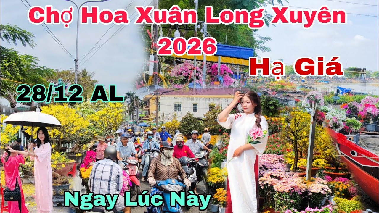 Chợ Hoa Xuân Miền Tây Long Xuyên 28 Tết 2026.Hạ Giá Ngay Lúc Này 