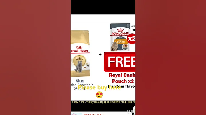 Video 10431271: british shorthair persian cat, british hair cat, persian cat healthy, cat food royal canin, cat kucing, dry cat food, cat old