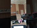 Pingu Official Channel Stinky Pingu 