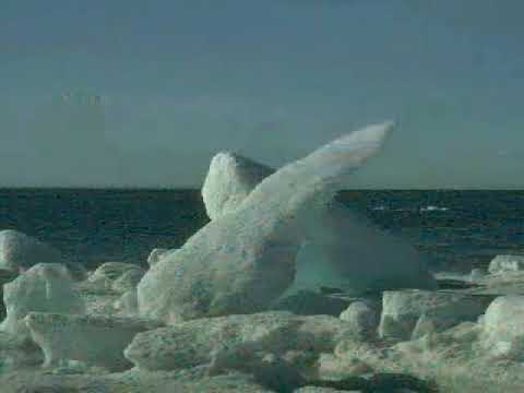 مدح الرسول صلى الله عليه وسلم للشيخ عبد الله منصور