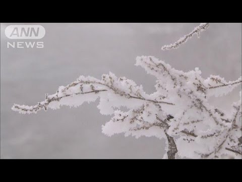 北海道でマイナス20度下回る　関東でも記録的な積雪(15/11/26) - 北海道でマイナス20度下回る　関東でも記録的な積雪(15/11/26)