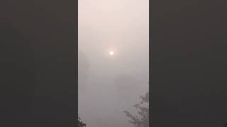 #sun #music #song