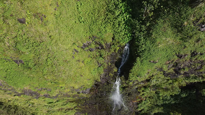Hawaiian Waterfall