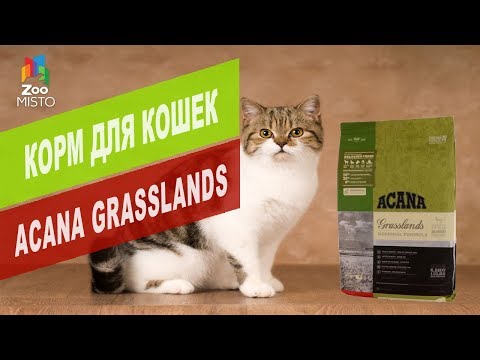 Корм для кошек Acana Grasslands | Обзор корма для кошек Acana Grasslands