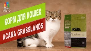 Корм для кошек Acana Grasslands | Обзор корма для кошек Acana Grasslands Корм для кошек Acana Grasslands | Обзор корма для кошек Acana Grasslands