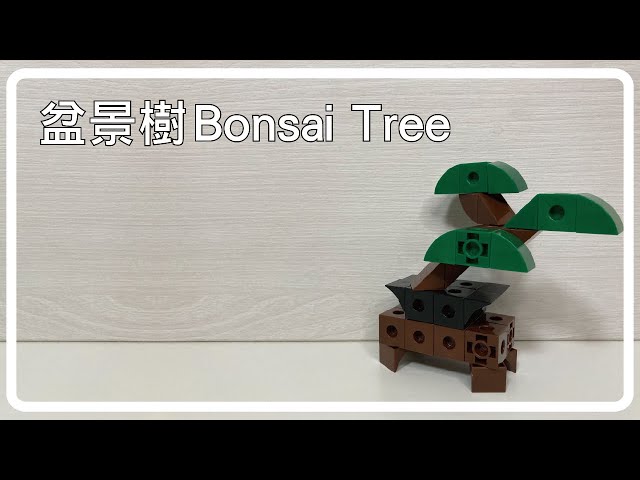 Bonsai Tree | 盆景樹】How to Build Bonsai Tree with Gigo | 如何用