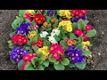كيف تؤثر الألوان على مزاجك في الصيف؟ | How Colors Affect Your Mood in Summer صحة# الوان# الصيف#