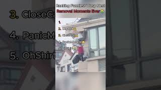 Ranking Funniest Wasp Nest Removal Moments Ever😭