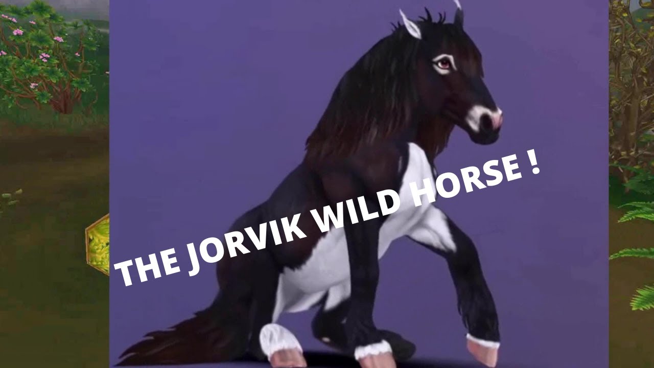 THE NEW JORVIK WILD HORSE ! YouTube