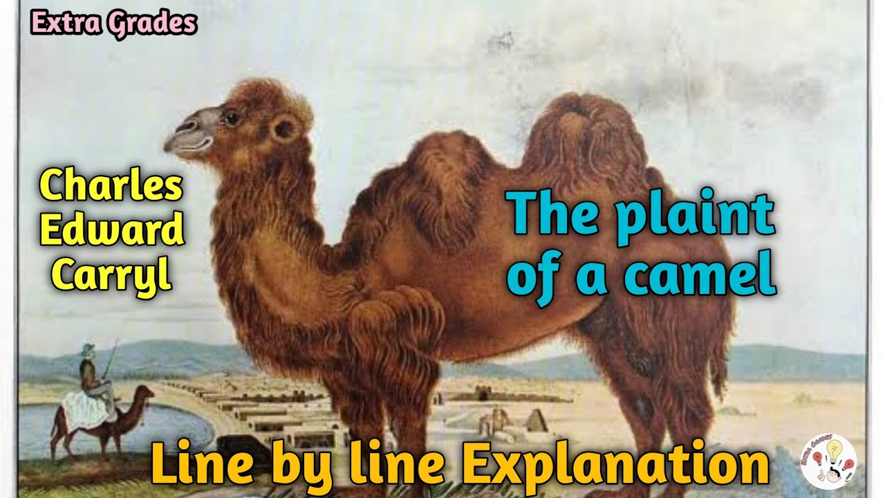 The camel was very thirsty. Poem about Camel. How the Camel got his hump.