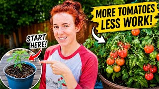 The Early Tomato Tricks Nobody Uses