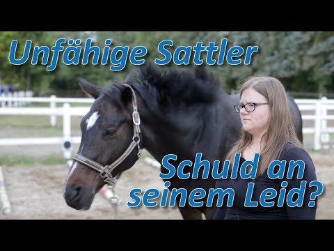 Unfassbar - Sattler schuld am Leid dieses Pferdes? Keiner findet die Ursache fürs lahmen!