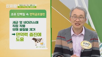 초유 단백질 속 면역력 증진에 도움이 되는 