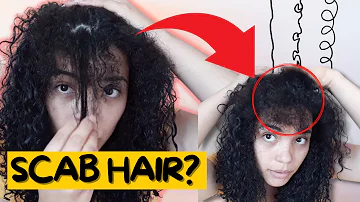 Como tirar o ressecamento do cabelo cacheado na frente?