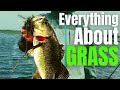 BASS Fishing GRASS // Milfoil, Coontail, Hydrilla & Eelgrass Fishing (The #1 COVER For Big Bass)