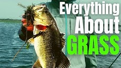 Bassfishinghq Youtube