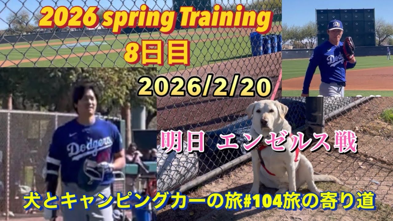 2026ドジャースキャンプ2/20(金) 明日いよいよエンゼルス戦 大谷選手の練習 犬とキャンピングカーの旅#105旅の寄り道