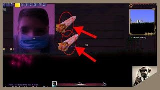 solo terraria random insanity 2