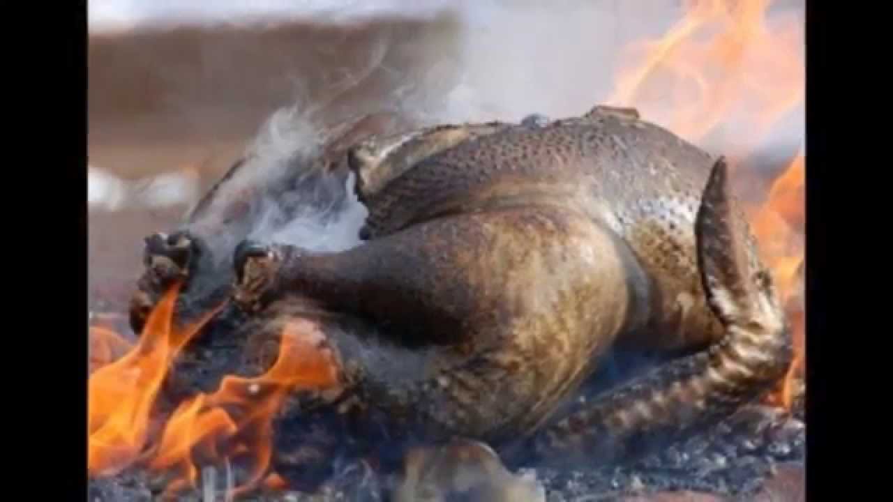Thanksgiving: Food Family and Fire! FAIL Compiliation - YouTube