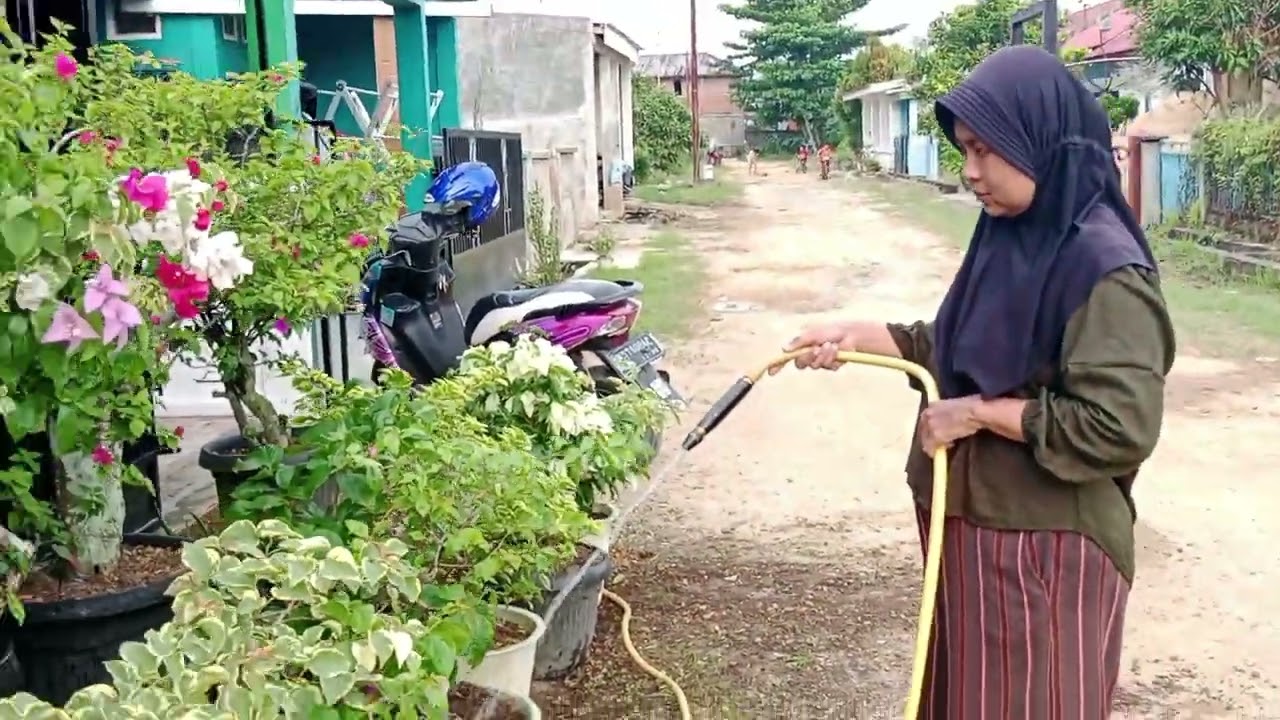 lagi bersih bersih  halaman rumah