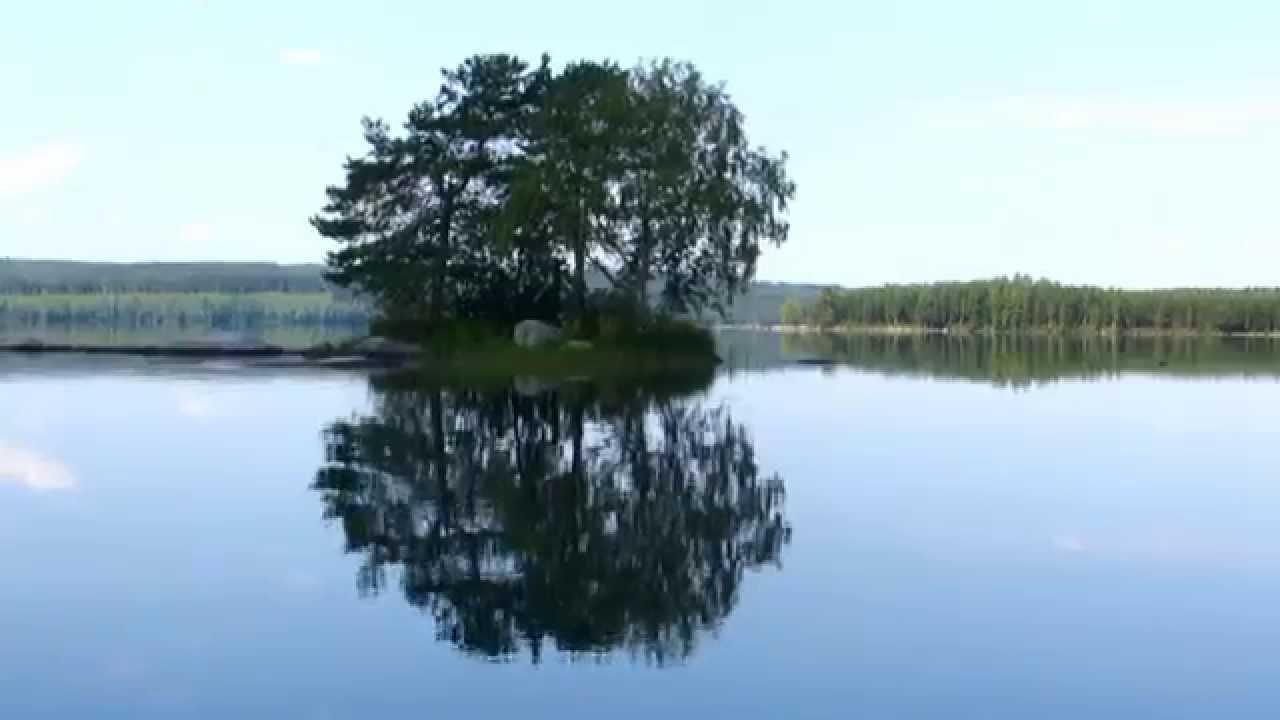 upload image 