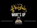 4 Non Blondes • What&#39;s Up (CC) 🎤 [Karaoke] [Instrumental Lyrics]