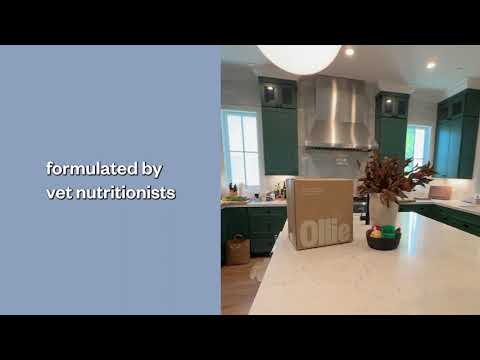 Ollie YouTube ad: Ollie - Fresh, Healthy Meals for Your Dog