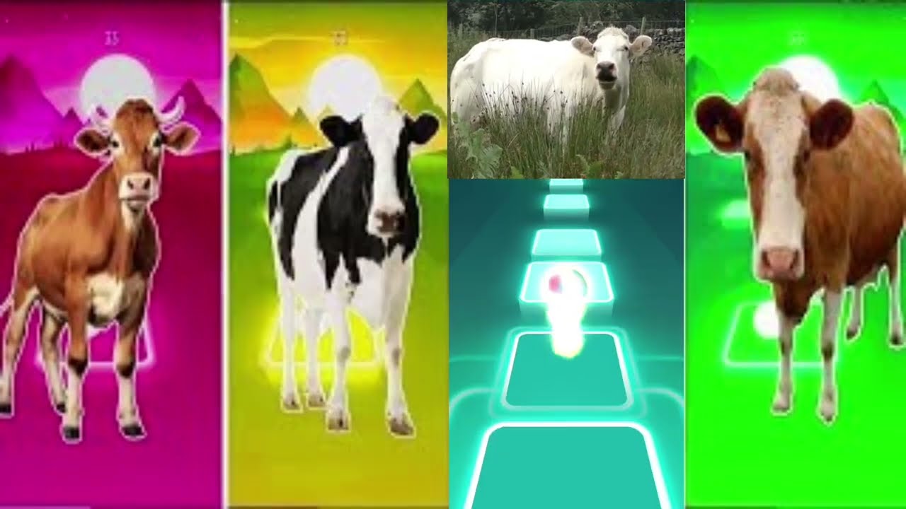 Funny the Horse🐎 🆚Funny Elephant B 🆚Funny Cow🐄 Funny Bull🦏Tiles Hop EDM Rush #tileshop #coffindance