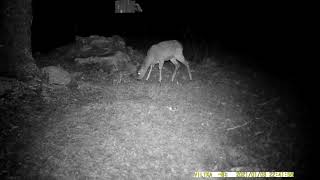 Trail camera: Suntek HC-801LTE screenshot 5
