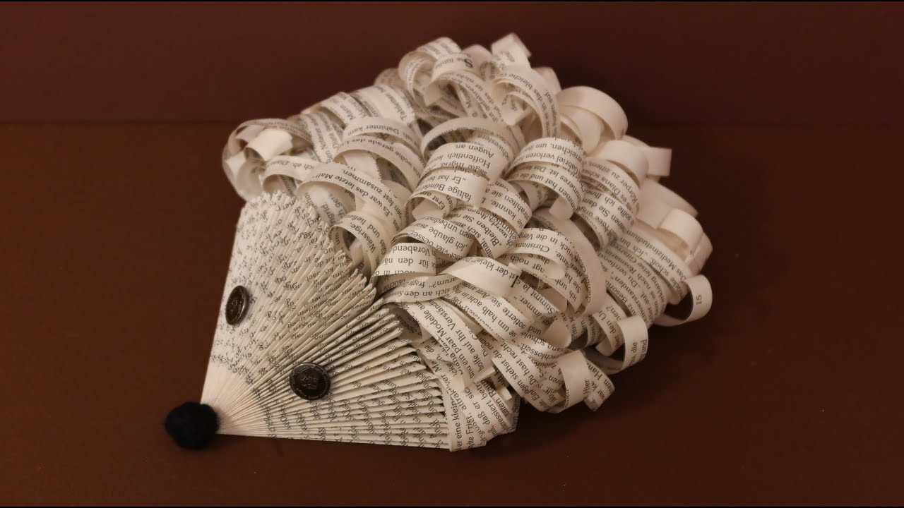 Craft hedgehog with book