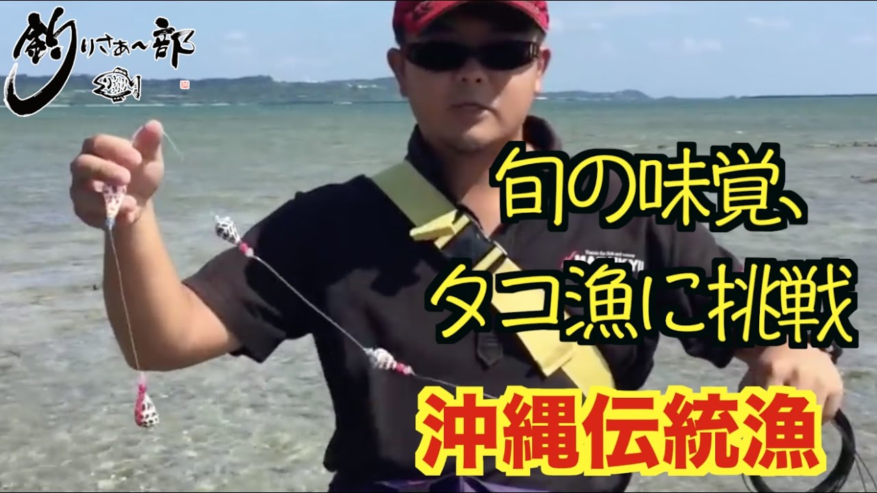 Vol 036 伝統漁 シガヤー ウデナガカクレダコ を捕まえる Youtube