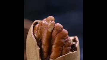 Three Squirrels Pecan Nuts 三只松鼠 碧根果