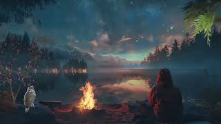 Campfire Meditation Sounds, Night Ambience, Swamp Sound For Sleep and Relaxation