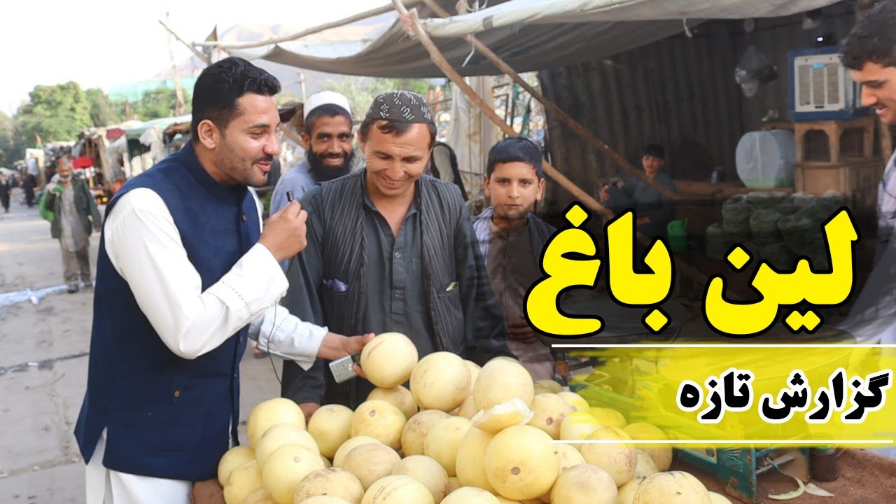 گزارش تازه! از لین باغ شهر پلخمری| گفتگو با کسبه کاران |@GuzarishNama