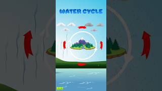 Water Cycle| How rain forms | Where does rain come from.