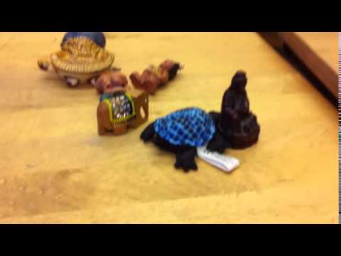 Video: Kuinka Kilpikonna Liikkuu?
