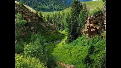 ما تيسر من سورة يس بصوت القاريء عادل حسن الحجواني ..